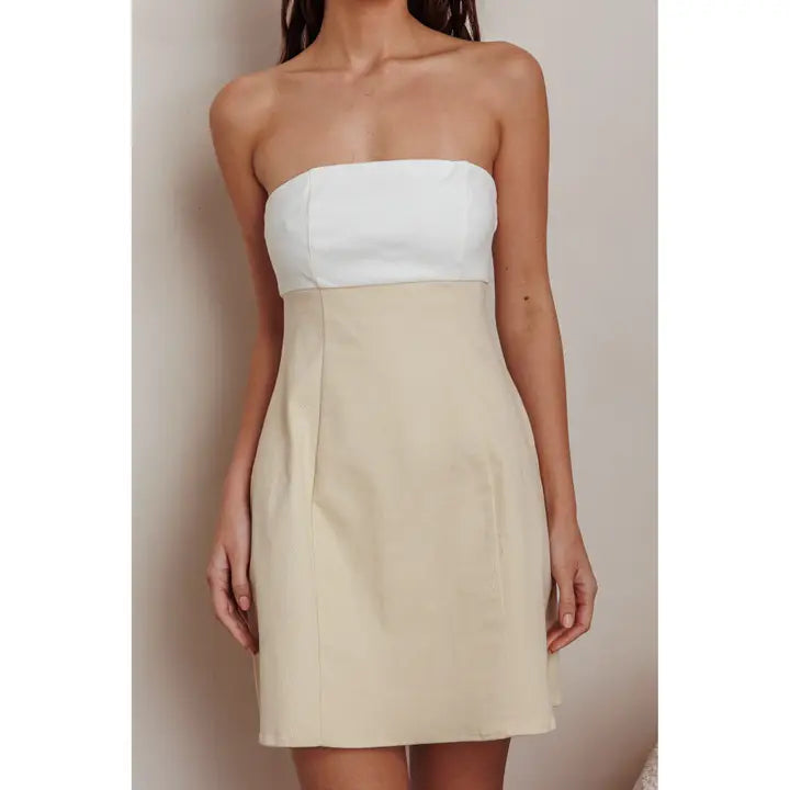 Two Toned Color Mini Dress