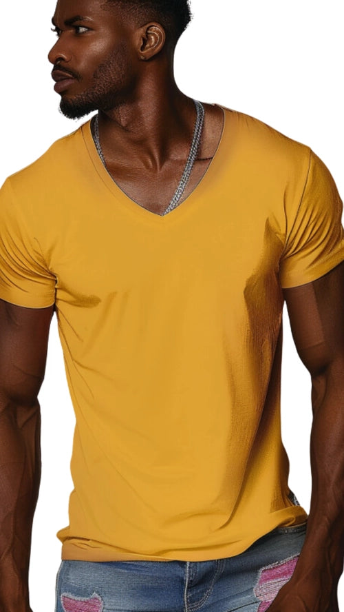 V Neck Shirts